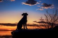 Dogs silhouette graces the horizon against a picturesque sunset