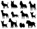 Dogs silhouette set of different breeds. Side view pet stand icon in black color. Make used for dog show, competition Royalty Free Stock Photo