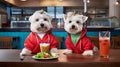 The dogs sit at the table and watch closely.