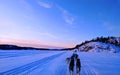 Dogs sledding on a frozen lake in winter time