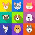 Dogs smiling face collection.Vector illustration of funny cartoon different breeds dogs in trendy flatstyle.