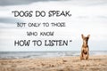 Love your dog! Motivational inspirational message.
