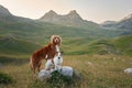 dogs stand guard over a mountain vista, embodying the spirit of exploration