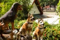 Dogs statue sitting in a garden Royalty Free Stock Photo