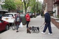 Dogs on the streets of NYC Royalty Free Stock Photo