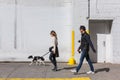 Dogs on the streets of NYC Royalty Free Stock Photo