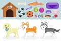 Dogs stuff icon set with accessories for pets, flat style, isolated on white background. Domestic animals collection Royalty Free Stock Photo