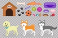Dogs stuff icon set with accessories for pets, flat style, on white background. Domestic animals collection