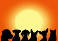 Dogs on the sunset background. vector file