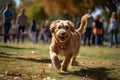 playful dog park adventures generative AI