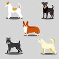 Dogs vector set of icons and illustrations