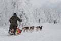 Dogsled on trail of Sedivacek's long Royalty Free Stock Photo