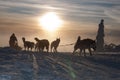 Dogsled on trail of Sedivacek's long Royalty Free Stock Photo