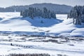 Dogsled on a Wyoming Trail Royalty Free Stock Photo