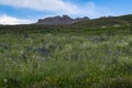 Green landscape, breathtaking, Dogubayazit, Turkey, Middle East, mountain, Iranian border, driving, winding road