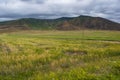 Green landscape, breathtaking, Dogubayazit, Turkey, Middle East, mountain, Iranian border, driving, winding road