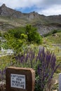 Dogubayazit, Turkey, Middle East, cemetery, muslim, islam, tomb, tombstone, grave, nature, grass, landscape, sign, memorial