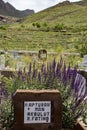 Dogubayazit, Turkey, Middle East, cemetery, muslim, islam, tomb, tombstone, grave, nature, grass, landscape, sign, memorial