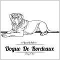 Dogue De Bordeaux - Vector Illustration For T-shirt, Logo And Template Badges