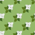 Dogwood. Seamless flower pattern background. Royalty Free Stock Photo