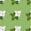 Dogwood. Seamless flower pattern background. Royalty Free Stock Photo