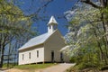 Dogwood blooms surround a little white church in Cades Cove. Royalty Free Stock Photo