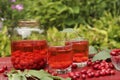 Dogwood compote in two glasses and jar on a wooden table on the garden, Horizontal format, Closeup