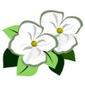 Dogwood Flower Accent