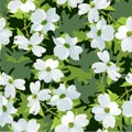 Dogwood seamless pattern Royalty Free Stock Photo