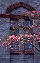 Dogwoods in bloom over gray stone church. Royalty Free Stock Photo