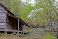 Dogwoods are blooming around the Bud Ogle Place in the Smokies. Royalty Free Stock Photo