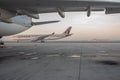 Airplane of `Qatar airways` at empty international airport. Jet of `Qatar airways` at sunset. Quaratine in airport. Empty runway.