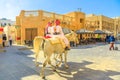 Police on horse at Souq Waqif Royalty Free Stock Photo