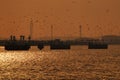 Sunrise view of Mina port Qatar