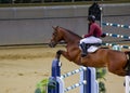 Doha, Qatar- 11 January 2020: background image with Horse jump in Doha,Qatar