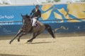 Action from the CHI Al Shaqab 2013 Royalty Free Stock Photo