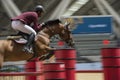 Action from the CHI Al Shaqab 2013 Royalty Free Stock Photo