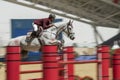 Action from the CHI Al Shaqab 2013 Royalty Free Stock Photo