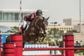 Action from the CHI Al Shaqab 2013 Royalty Free Stock Photo