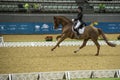 Action from the CHI Al Shaqab 2013 Royalty Free Stock Photo