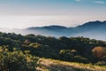 Doi Inthanon national park, ChiangMai, Thailand.