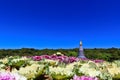 Doi Inthanon Royalty Free Stock Photo