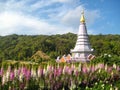 Doi Inthanon Pagoda, which is several hundred meters above sea level.