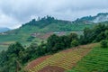 Doi Pui Hmong Village Chiangmai nestled deep in the mountains of Chiang Mai Thailand Royalty Free Stock Photo