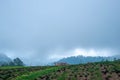 Doi Pui Hmong Village Chiangmai nestled deep in the mountains of Chiang Mai Thailand Royalty Free Stock Photo