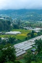 Doi Pui Hmong Village Chiangmai nestled deep in the mountains of Chiang Mai Thailand Royalty Free Stock Photo