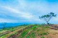 Doi Sango viewpoint is on the high and large mountain not far from the golden tri angle viewpoint. Royalty Free Stock Photo