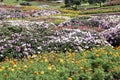 Mae Fah Garden