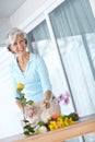 Doing a little home decor. a senior woman enjoying some flower arranging at home. Royalty Free Stock Photo