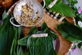 Doing Vietnamese vegetarian dish, make deep fried corn spring roll, vegan food in leaf background